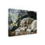 «Resting Spot Wolf» par Etelca, impression sur toile tendue-27643306