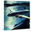« flying high », impression sur toile tendue-15924559