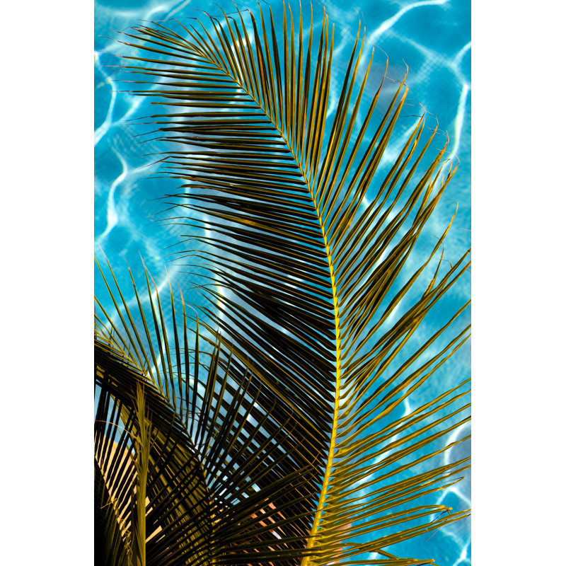 Palm Leaf Over A Pool by Jodi Jacobson - Wrapped Canvas Print, 46cm H x 30cm W x 3.8cm D
