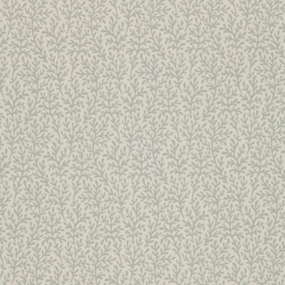 Sea Coral Wallpaper