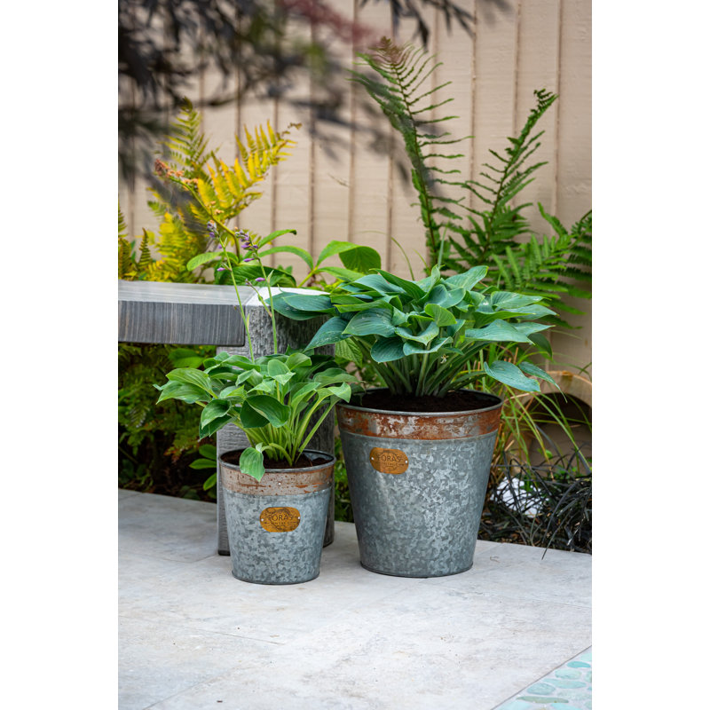 Cassandra Metal Cachepot, 50cm H x 50cm W x 50cm D