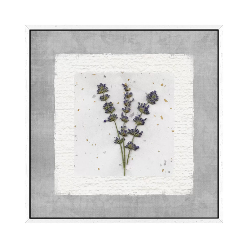 Beauty Preserved IV by Carol Robinson - Print on Canvas, White Framed Canvas, 45.72 cm H x 45.72 cm W