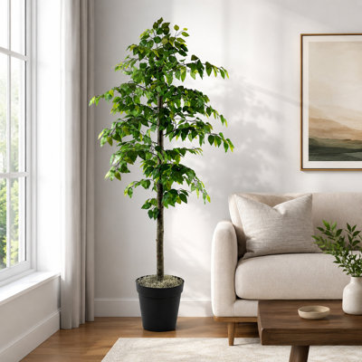 72" Artificial Ficus Tree in Basket