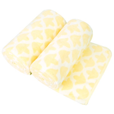 Ensemble de 2 serviettes de bain en microfibre