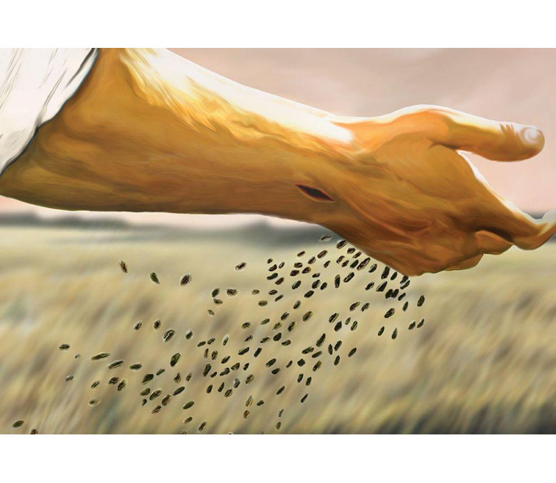 Art sur toile tendue Red Barrel Studio® Inconnu: Seed Sower, H 18 po x l 24 po