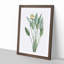 Bird of Paradise Flower by Pierre-Joseph Redoute - Picture Frame Painting Print-55501137-55501133