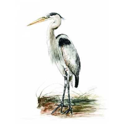Héron aquarelle