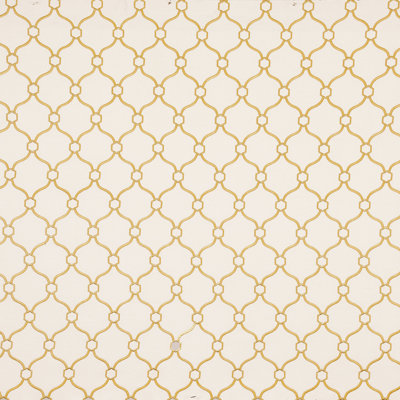 Theodore Fabric