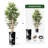 Artificial Tree in Contemporary Geometric Pattern Planter Fake Bamboo Silk Tree Plant Pot Plus Tree-103592541