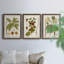 Feuilles antiques I - ensemble de 3 peintures sur toile encadrées-371832428-371832427
