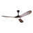 Ceiling Fan with LED Lights