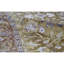 One-of-a-Kind 9' X 12'6" Area Rug