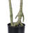 Faux Japonica Plant in Cement Planter-1140053593