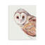 Plaque murale Peeking Barn Owl Gaze, design par Cady