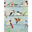 «Small Abstract Colorful Birds - Neo Mint Office», reproduction encadrée