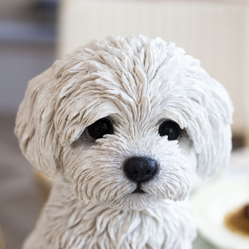 White Baby Maltese | Handpainted Decorative Puppy Statue for Home & Garden Decor | Premium Polyresin Dog Statue | Gift for Dog Lovers | Weather-Resistant Indoor/Outdoor Decor