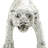 Polystone Leopard Decorative Sculpture-1405159695-1405159694