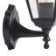 Aazil Black 31.5cm H Outdoor Wall Lantern