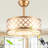 18" Gold Caged Ceiling Fan with Lights and Remote Control