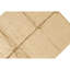 Area Rug in Beige