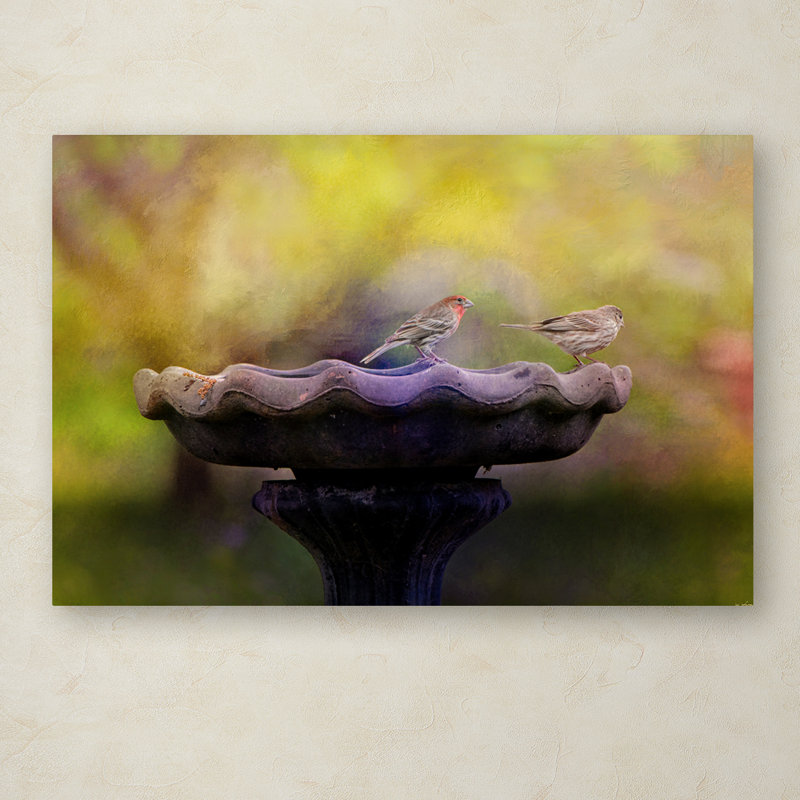 Finches on Stone Bird Bath Canvas Art, 20" x 25"