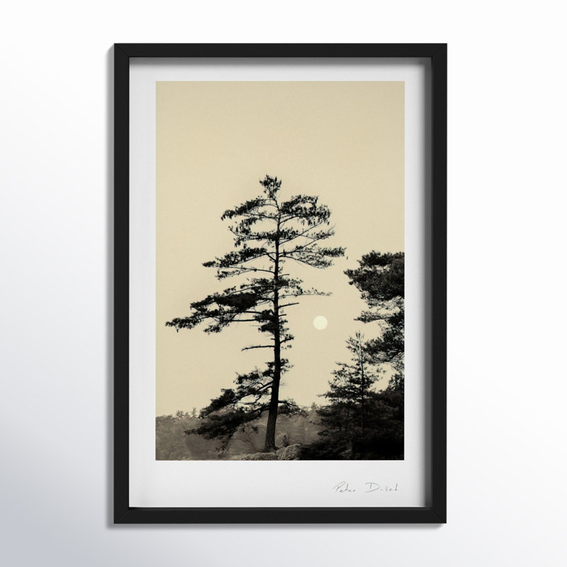 Serenity Print by Peter Dušek, Black, 20" H x 14" W x 1.25" D