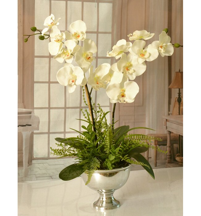 Rosdorf Park Orchid Arrangement & Reviews | Wayfair
