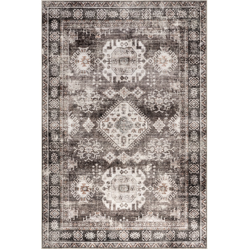  Evelina Traditional SplashGuard Machine Washable Area Rug, Rectangle 5' x 8'