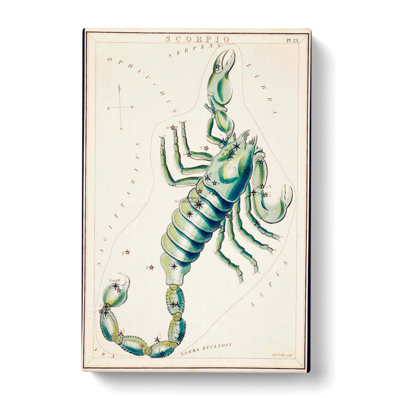 Astronomical Zodiac Chart of the Scorpio - Wrapped Canvas Drawing Pint - Wrapped Canvas, 76cm H x 50cm W x 3cm D