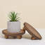 Paquet de 2 supports pour plantes d'intérieur rondes et supports pour plantes Grigoriy-358073033-372554791