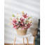 White Stargazer Lily 29"-1898084169-1898084175