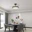 106.68cm Ceiling Fan-1379589297