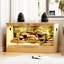 Reptile terrarium-123598775