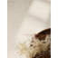 Lyon Wool Hand Woven Area Rug-126112210-126112212