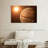 Oberle Sunny Jupiter-107829311