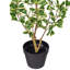 Ficus artificiel panaché 36 po