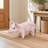 Pig Garden Statue