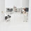 Clear Zig Zag Wall-Mounted Pet Gate