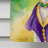 Double Sided 28'' H x 40'' W Polyester Mardi Gras House Flag