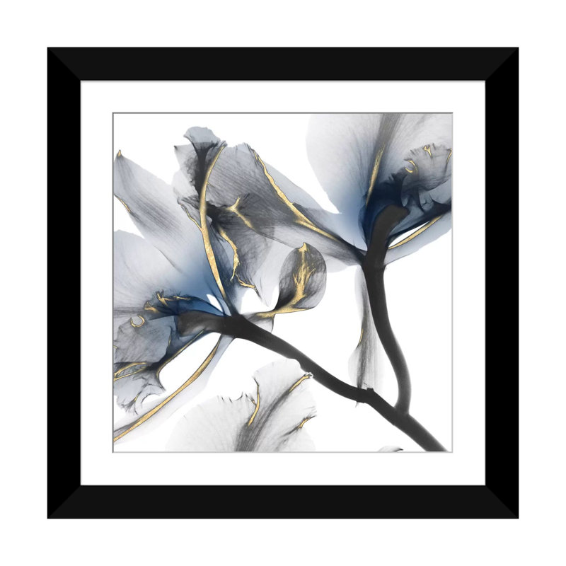 «Lustre Cyclamen II», impression sur toile, H 24 po x l 24 po, Impression encadrée, Noir