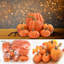 Unavalible Halloween Decoration