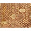 Hand Knotted Wool Oriental Area Rug in Red And Cream