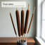 Paquet de tiges d'avoine Flournoy-2011196879