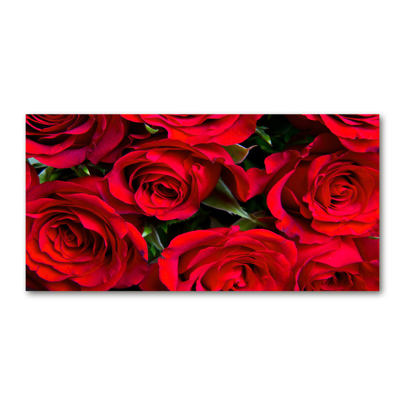 Red Roses 1 Piece Wall Art on Canvas, 60cm H X 120cm W