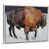 White Frame