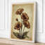 Carnation Studies Botanical - Wrapped Canvas-610171121-610171126