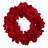 Faux Amaryllis Polyester 22'' Wreath