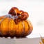 Décoration de citrouille en verre soufflé à la main 5,5 po Ambre