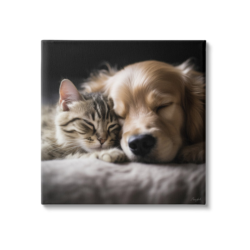«Ebern Designs Cat and Dog», photographie sur toile par Roozbeh, H 30 po x l 30 po x P 1,5 po