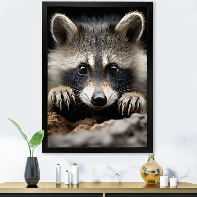 Animal raton laveur - reproduction d'art mural, Cadre d'angle fermé noir, H 32 po x l 24 po x P 1 po